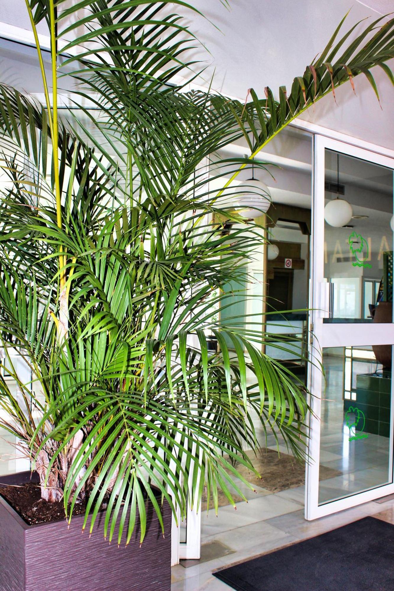 Apartament Altamira Sunset Costa Adeje  Zewnętrze zdjęcie